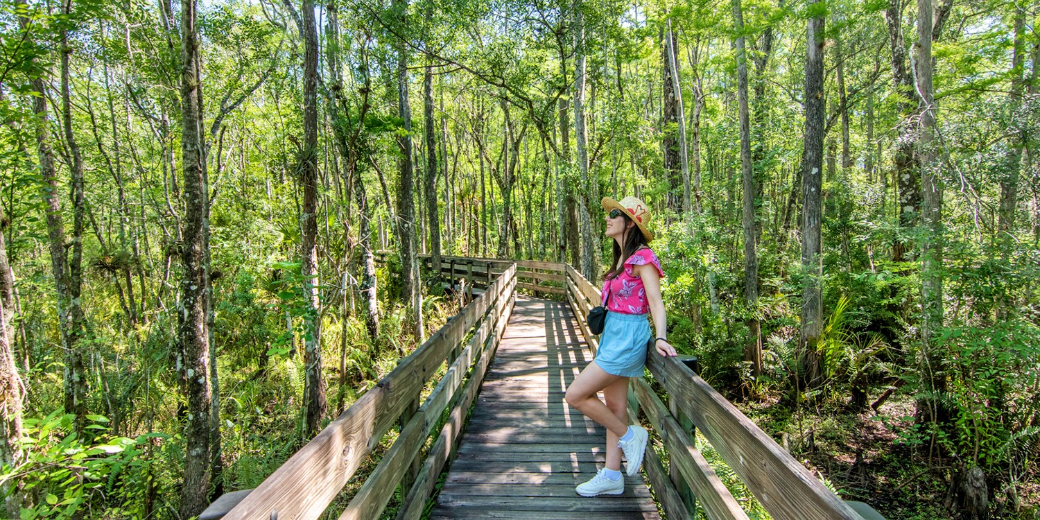 Découvrir une autre facette de la Floride 